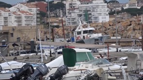 Al sector del peix blau li queden pocs anys de vida