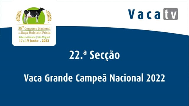 Sección 22. Vaca gran campiona