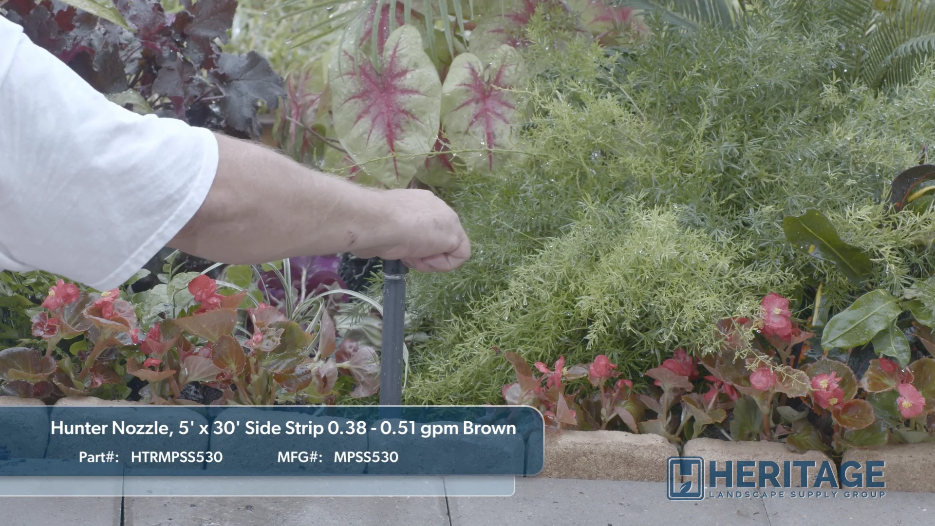 Hunter Nozzle, 5' x 30' Side Strip 0.38 0.51 gpm Brown, HTRMPSS530