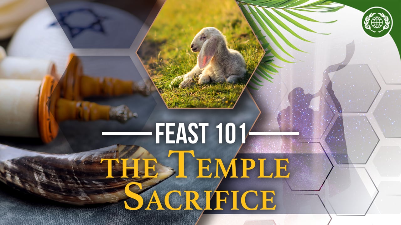 FEAST 101: Did You Know? The Temple Sacrifice