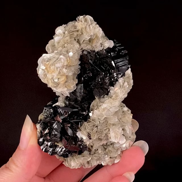 Cassiterite (excellent twins) on Muscovite