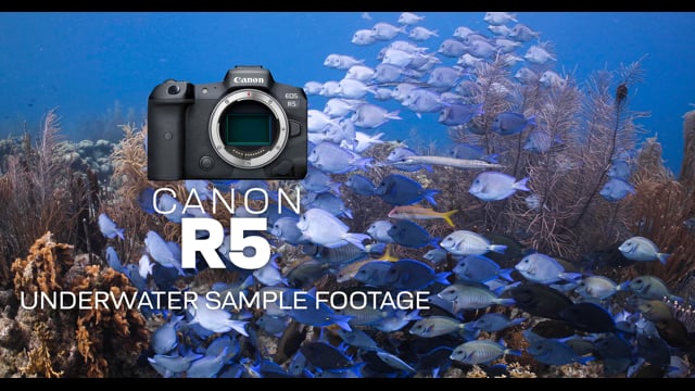 Canon R5 - by Joel Penner