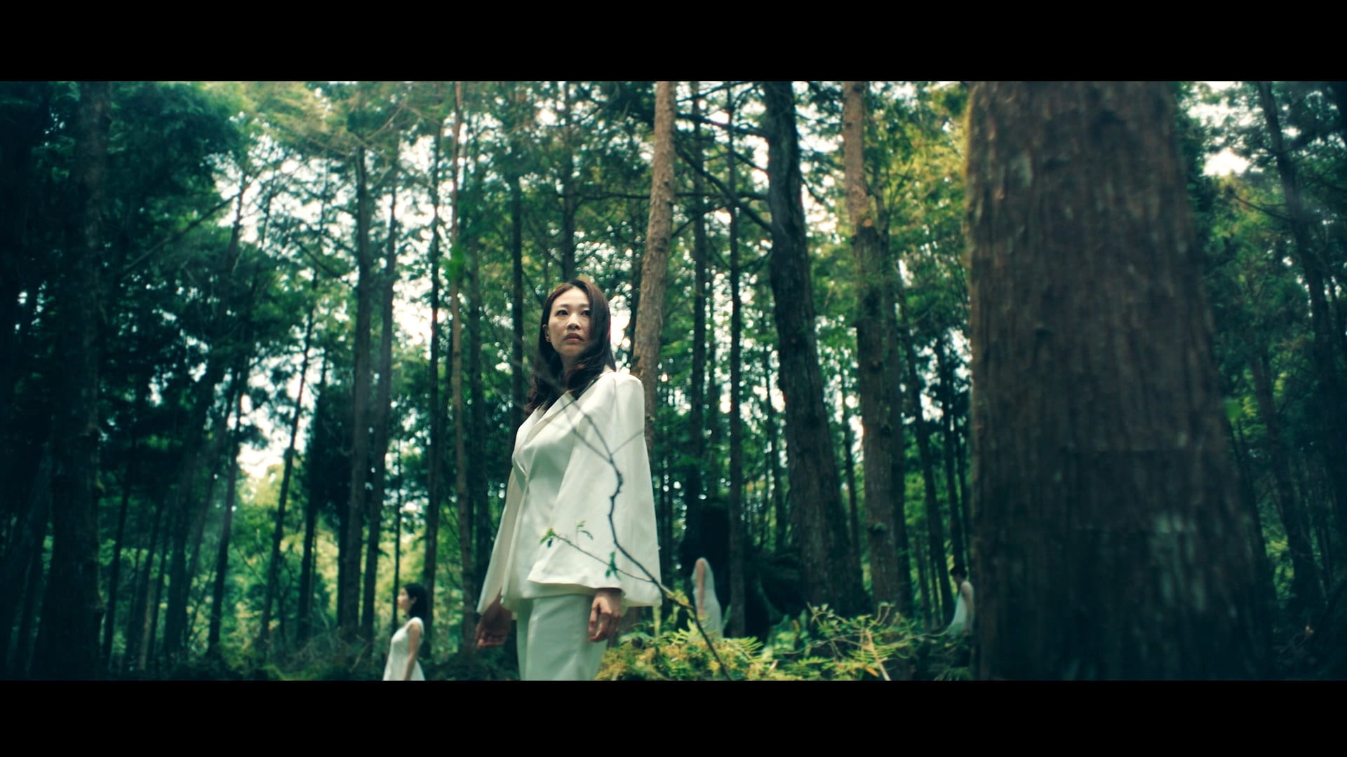 送子鳥︱聽樹說話篇