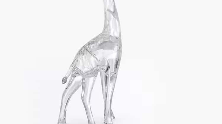 Swarovski African Sunset Giraffe Nohea, 5557858 on Vimeo