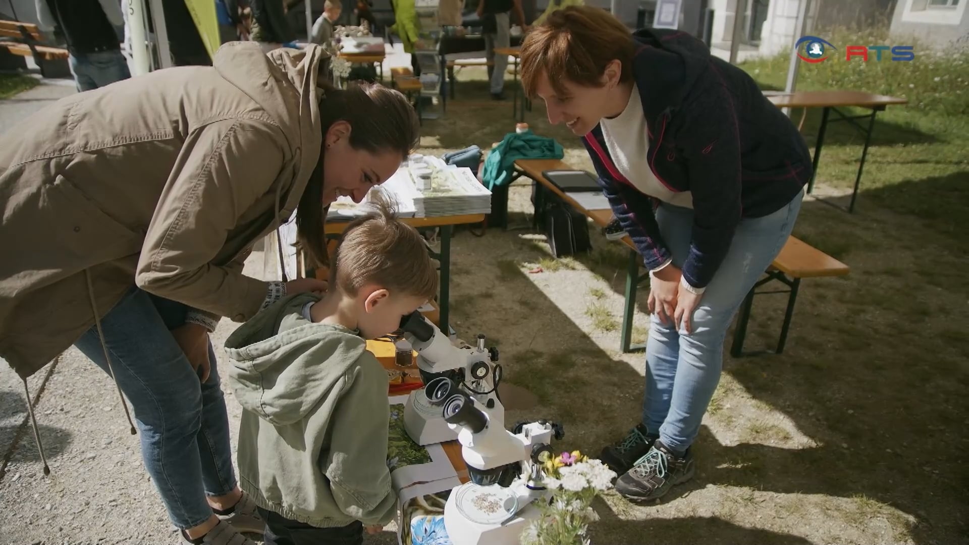 erste-insektenmesse-oesterreichs-in-tamsweg