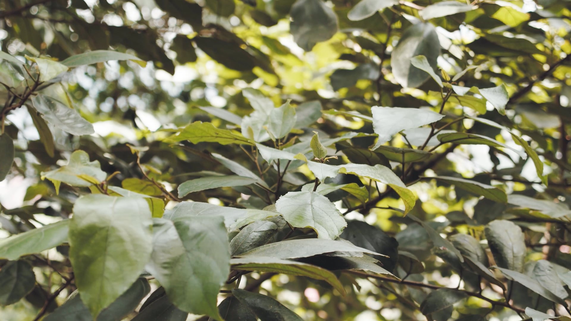 DIM. Animation interior project on Vimeo