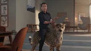 Related Embedded Video Item Thumbnail