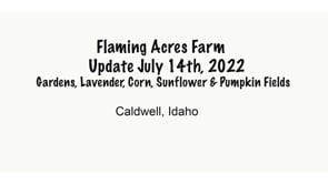 July 14th, 2022 Update Flaming Acres Farm