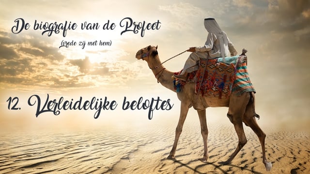 12. Verleidelijke beloftes