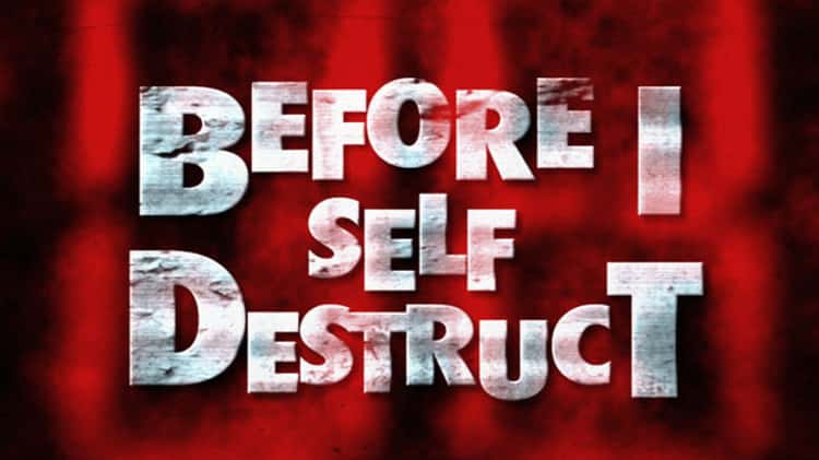 before i self destruct