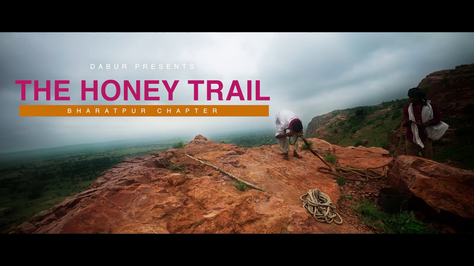 (GOLD Winner, Digixx '22) Dabur Honey | The Honey Trail: Bharatpur Chapter