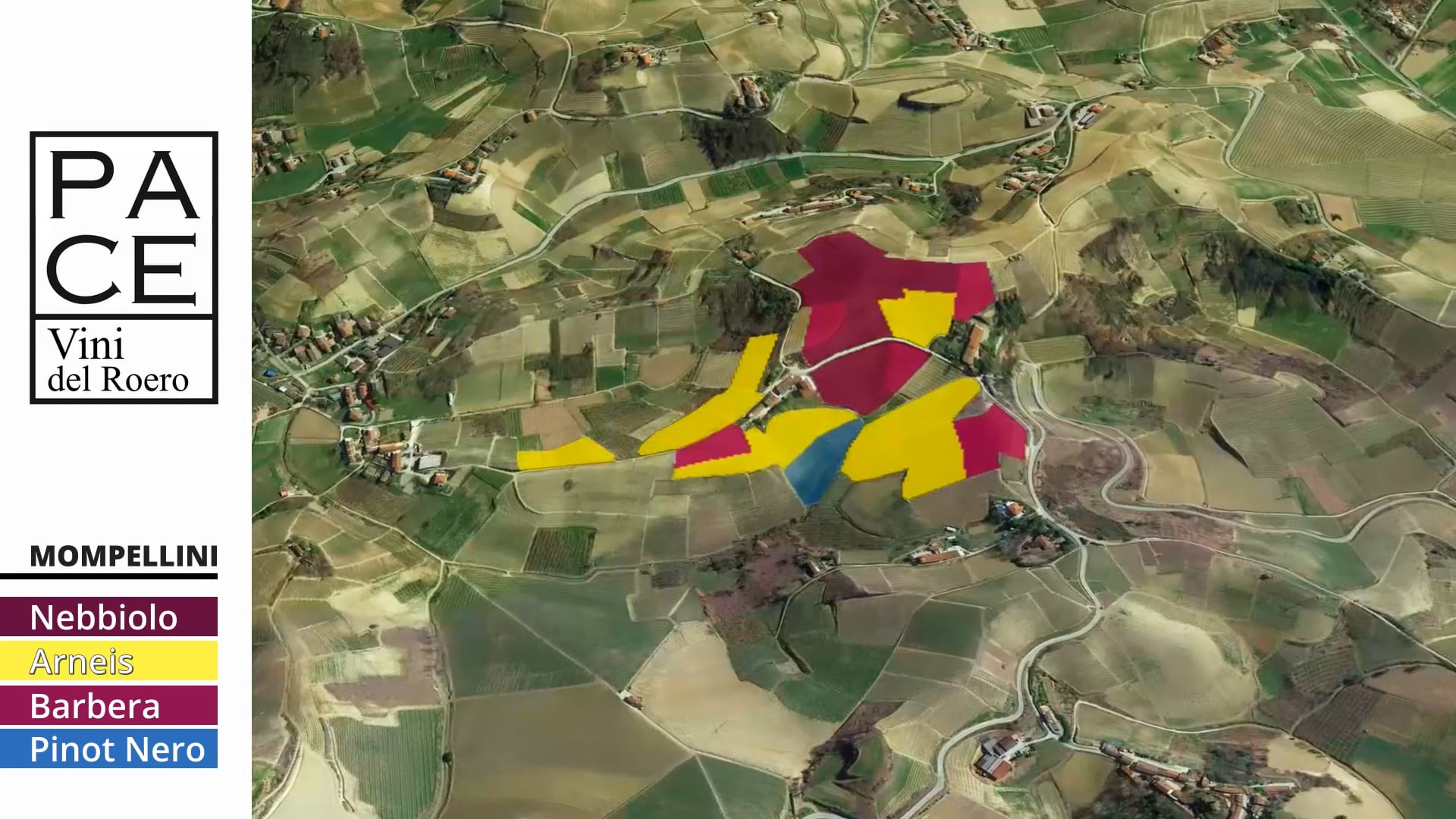 VIGNETI | Cru Mompellini | Vineyards