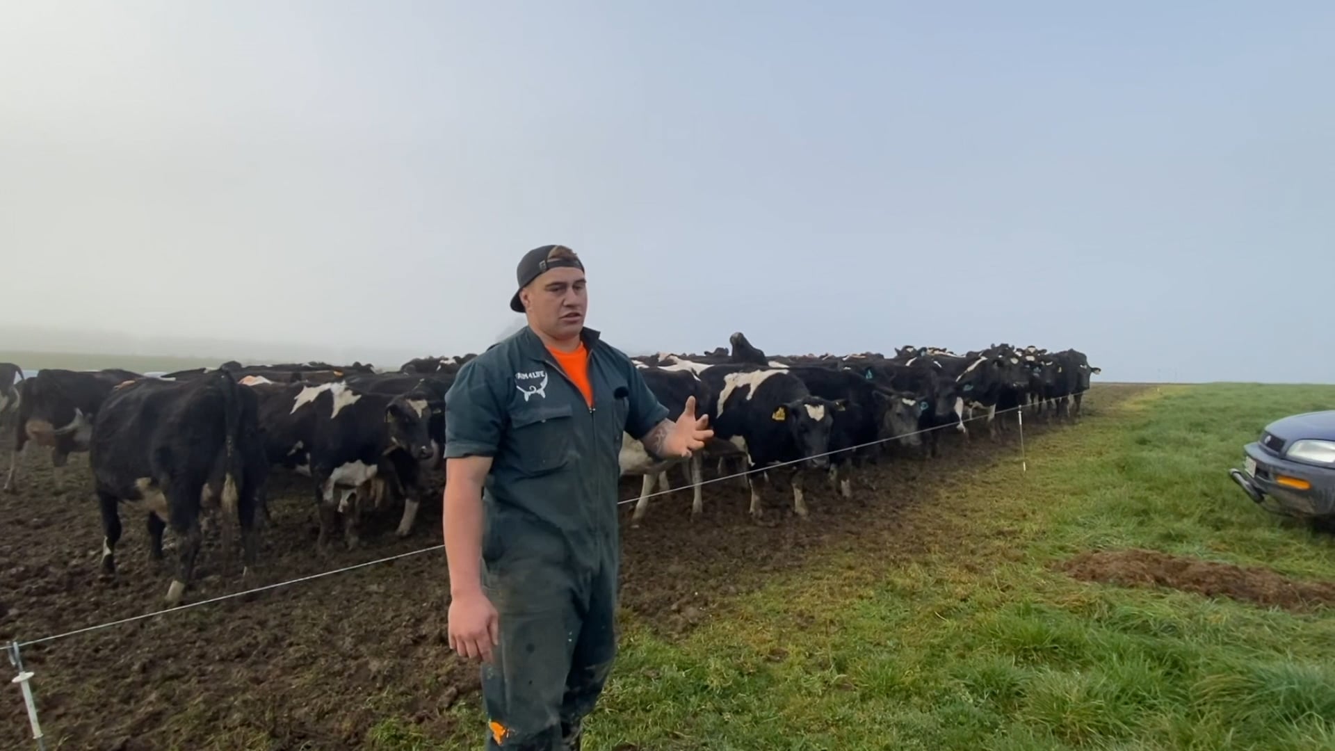 Springer Cow - Drafting setup preparations on Vimeo
