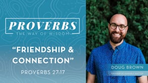 Friendship & Connection 