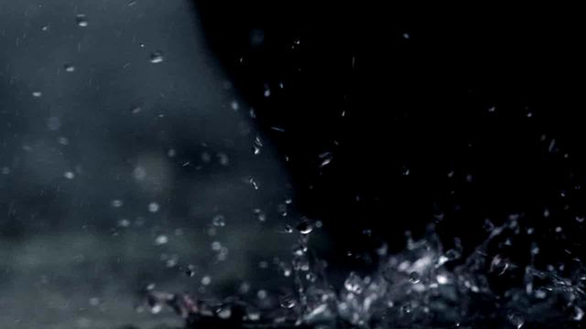 Misery Signals — A Certain Death