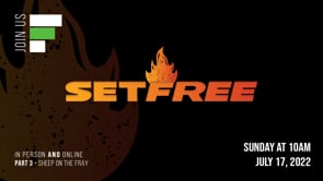 Set Free // "Sheep on the Fray"