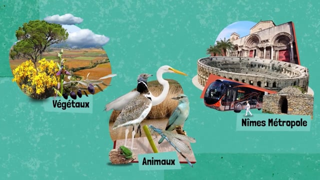 deVine Voices Native French Male Voiceover La Biodiversité Explainer Video