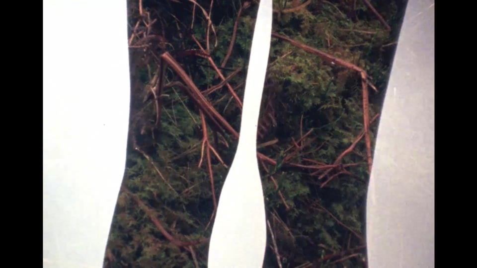 Upwards Tide