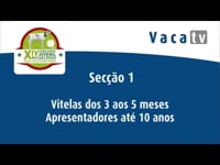 Terneras de 3 a 5 meses