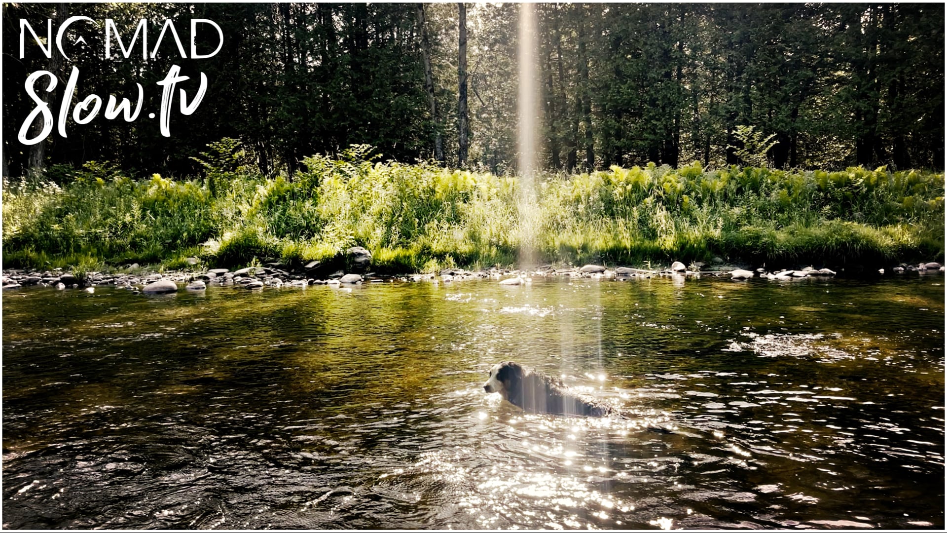 Meditation Creek