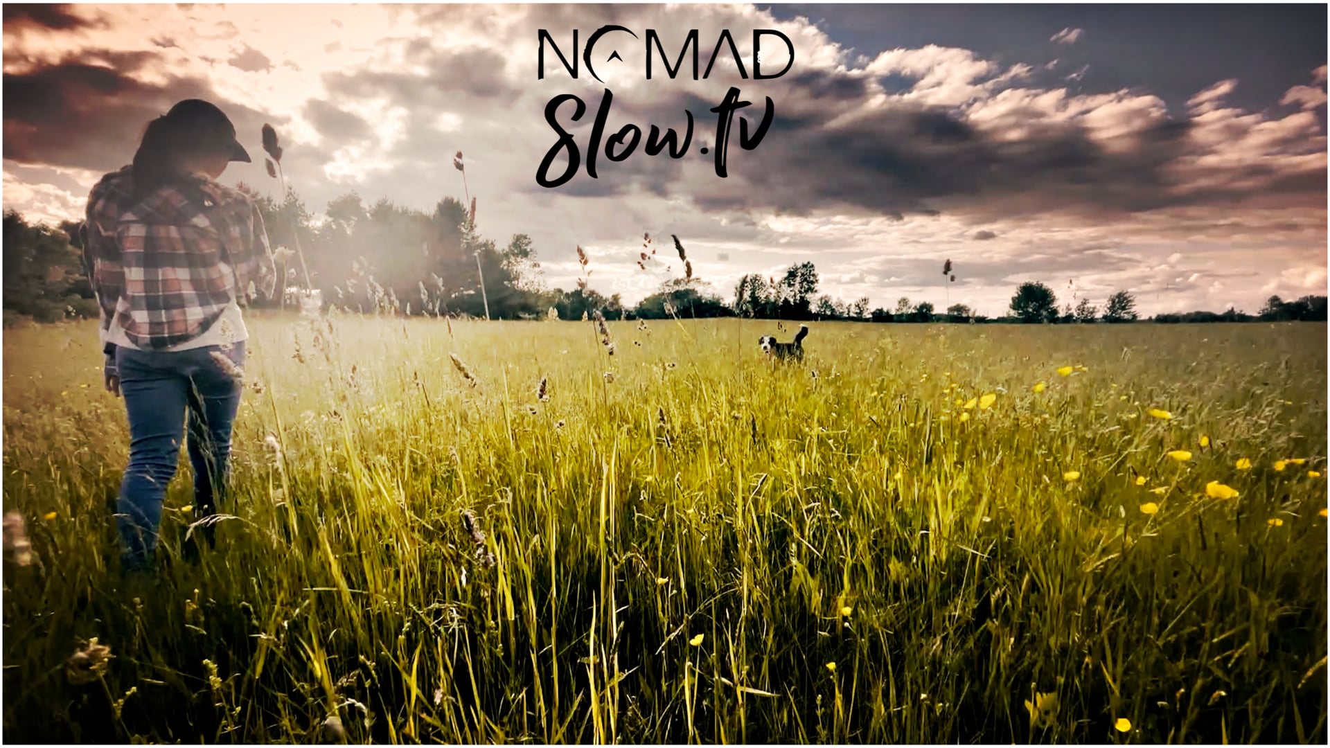 a summer field with AliX & Leia