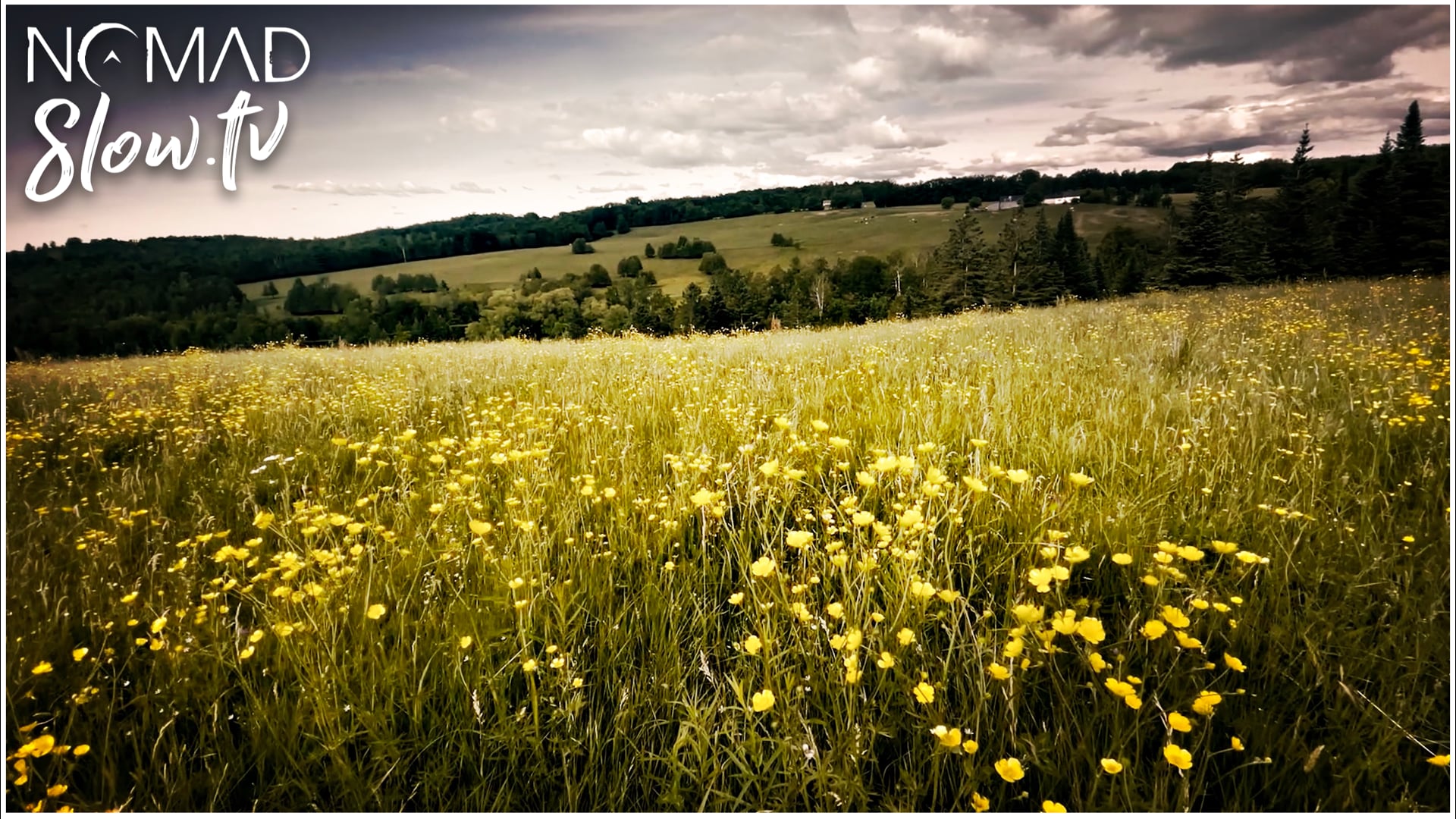 Down Summer's Hill