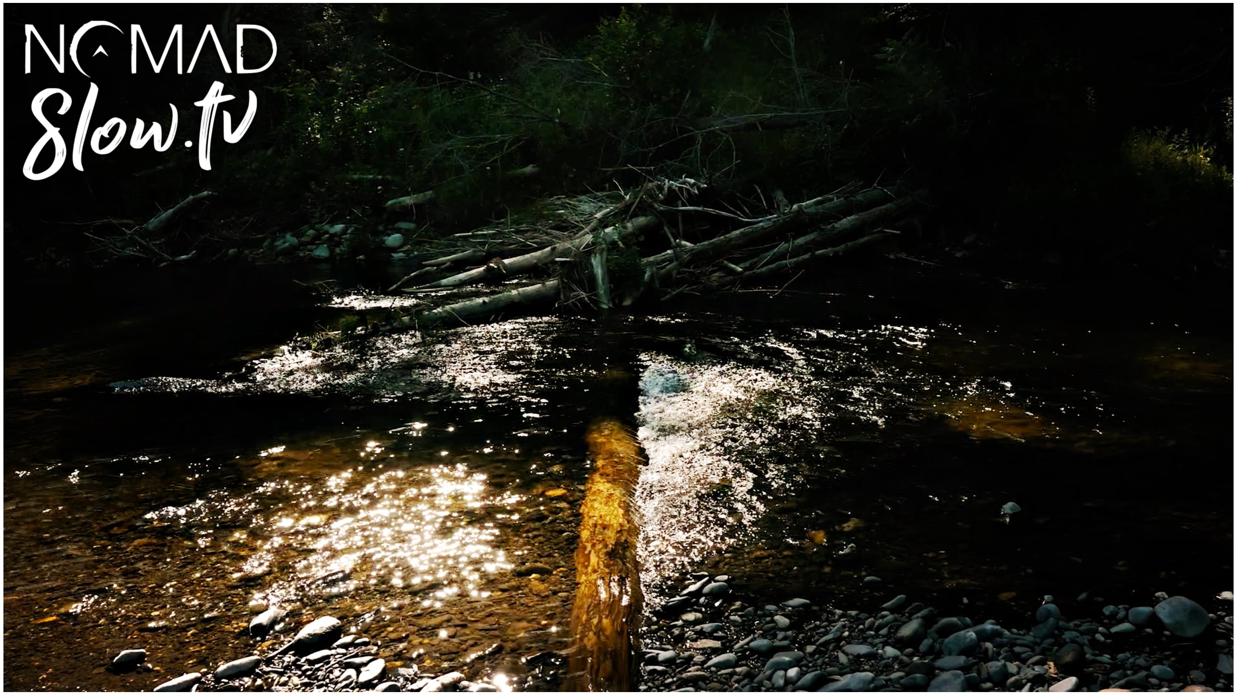 Tomifobia River - It Doesn’t Need To Be More Than That