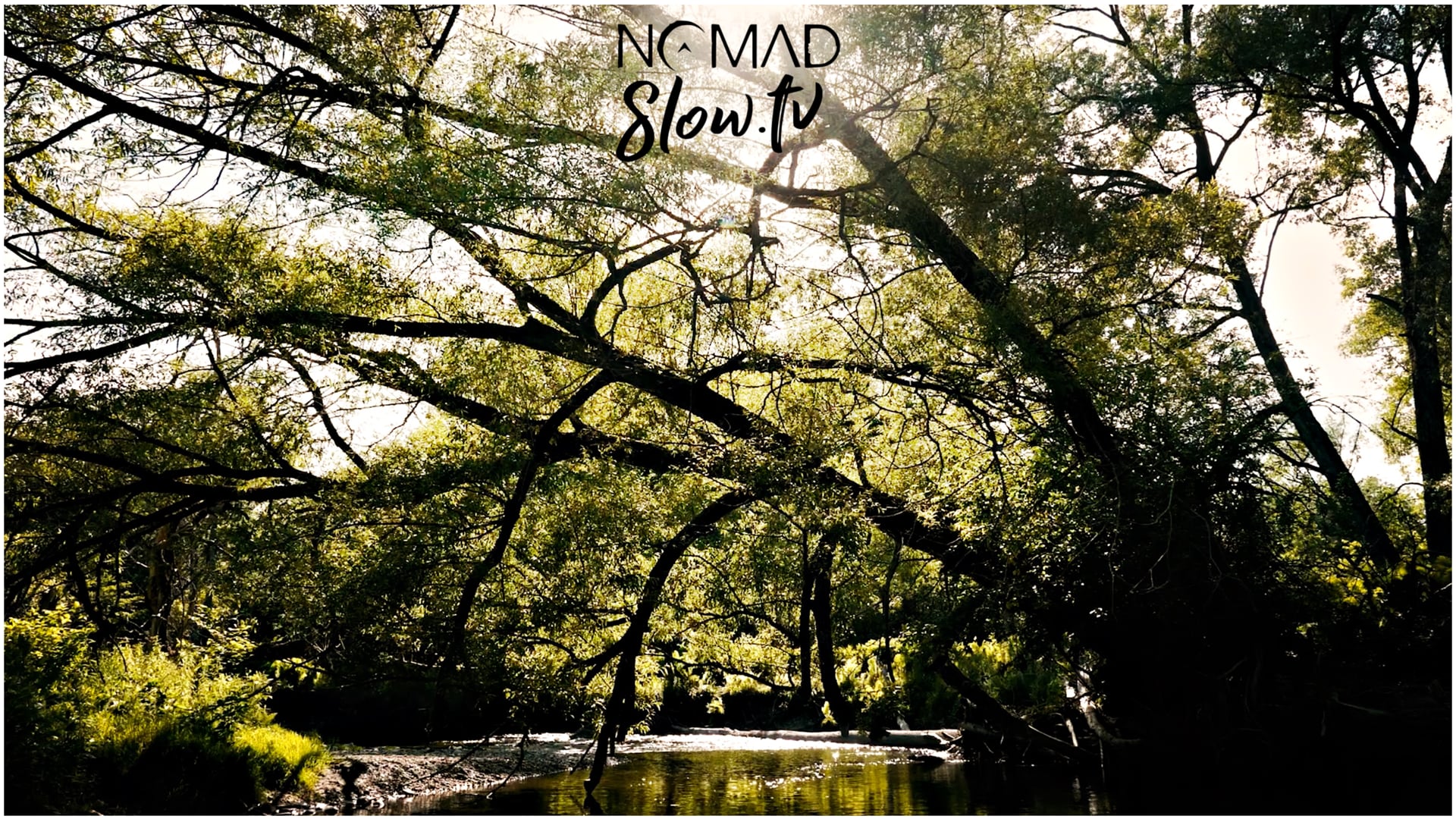 Long Return from the Tomifobia River