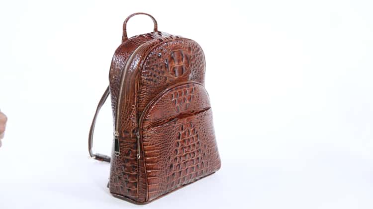 Brahmin cheap dartmouth backpack