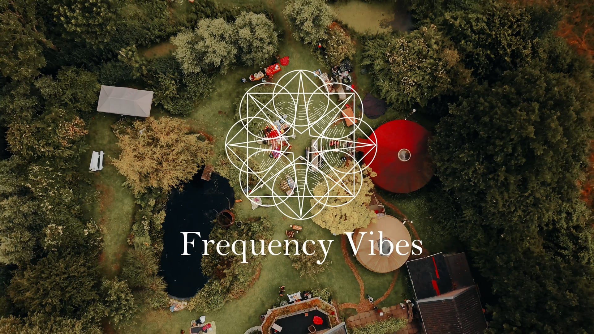 Frquency Vibes