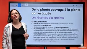 video : les-reserves-des-graines-3628