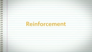 Reinforcement