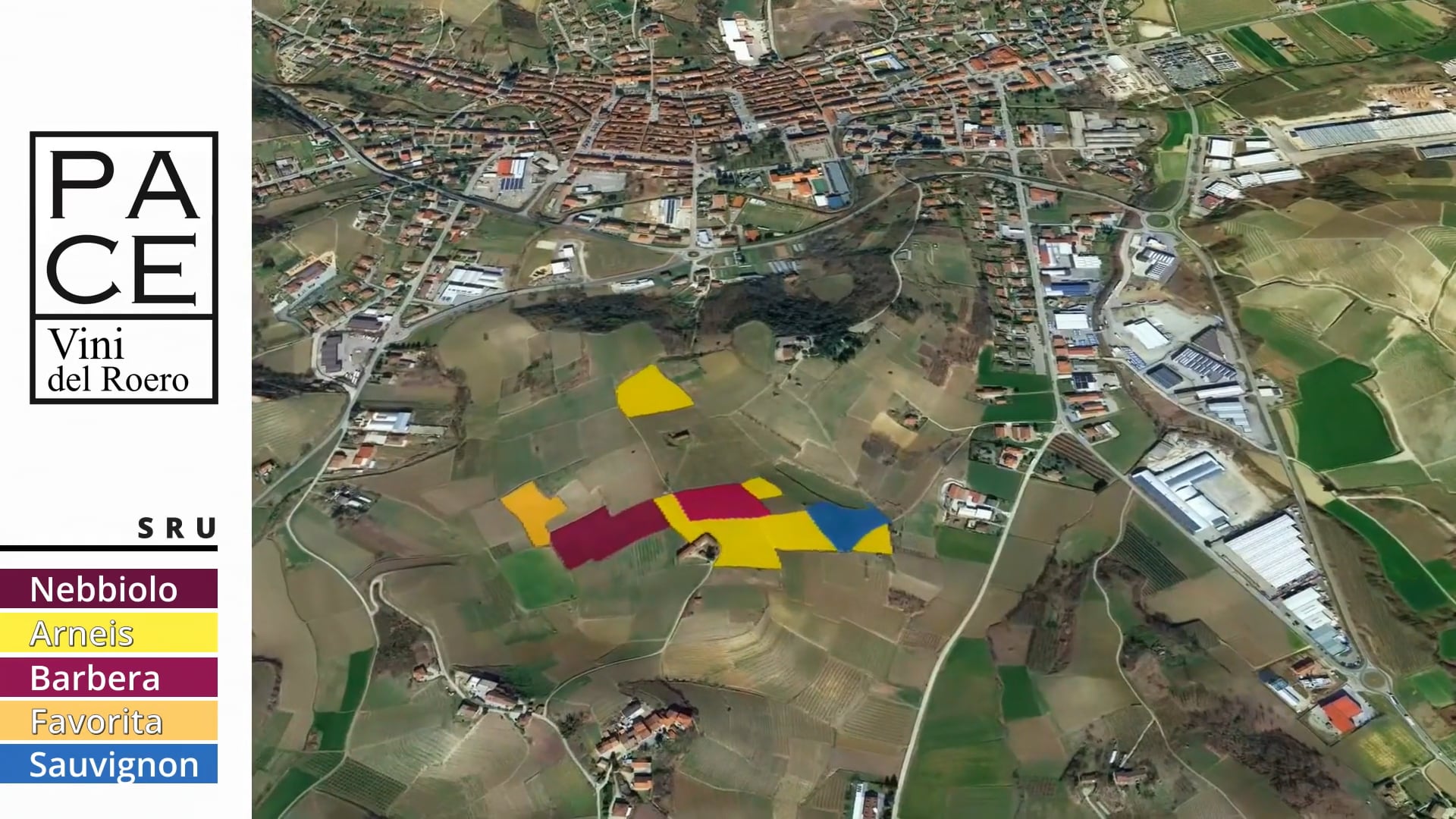 VIGNETI | Cru Sru | Vineyards