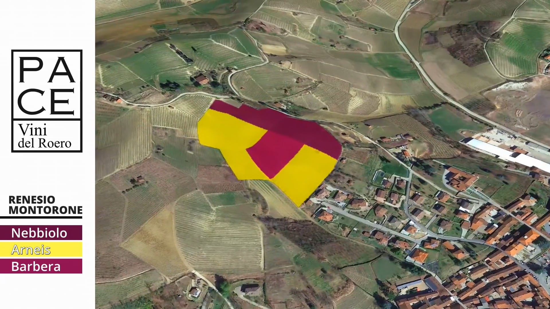 VIGNETI | Cru Renesio Montorone | Vineyards