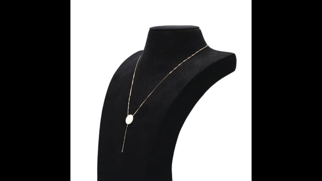 Colar Longo com Chapa Fênix em Ouro Amarelo 18k