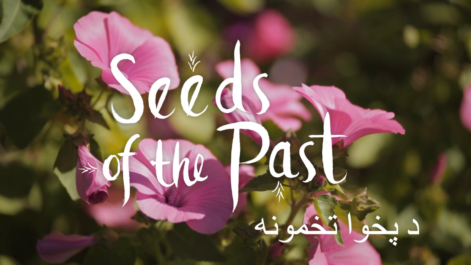 Seeds of the Past
