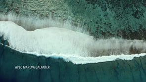 THE OCEAN SENTINELS