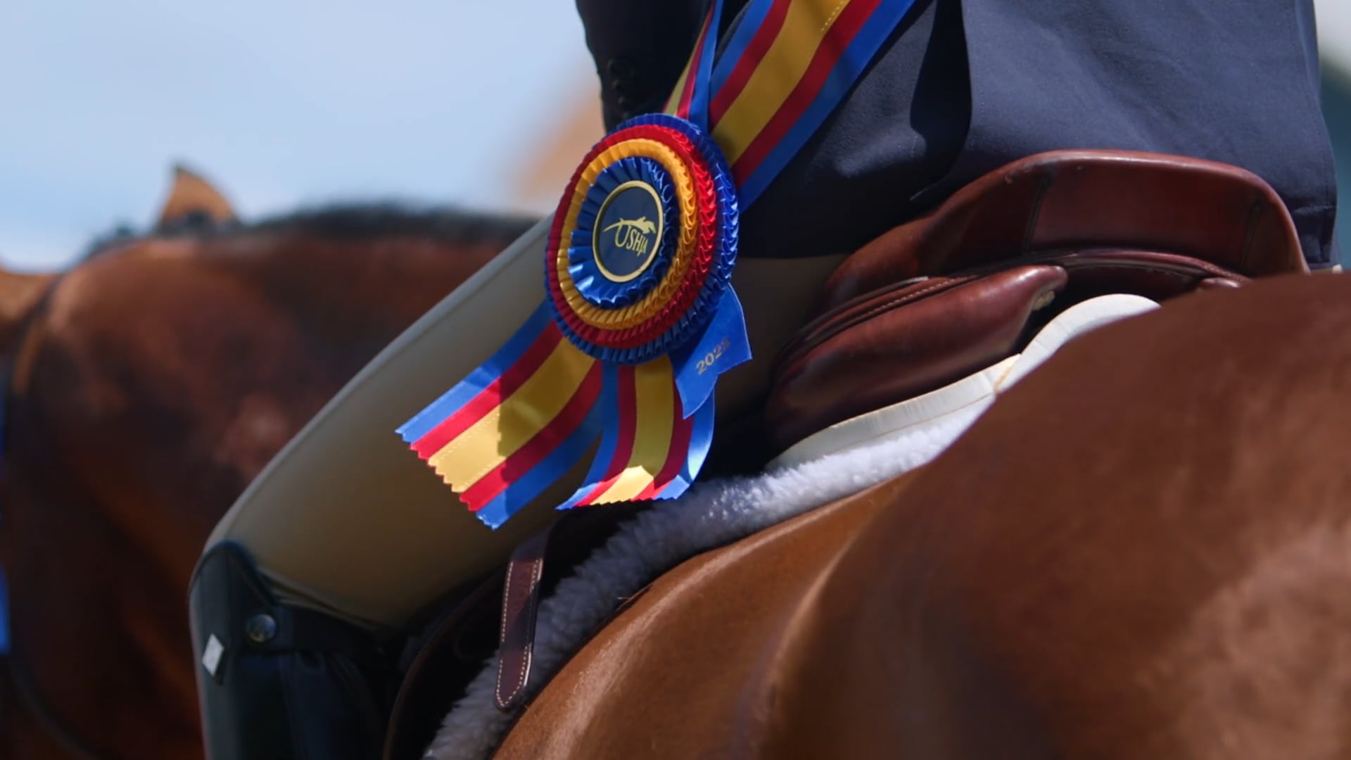 Sterling Malnik Wins USHJA Gladstone Cup Equitation Classic, Presented ...