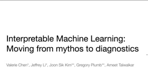 Interpretable Machine Learning: Moving from Mythos to Diagnostics