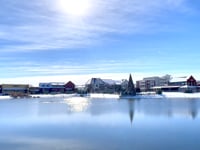 Stunning Winter Beauty at Westhaven Lake