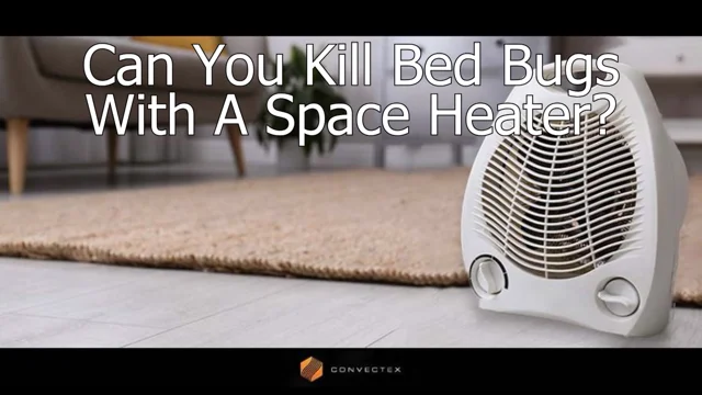 Can You Kill Bed Bugs with a Space Heater?