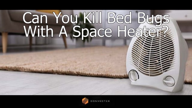Can You Kill Bed Bugs with a Space Heater?