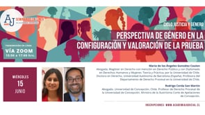 Perspectiva de género en la configuración y valoración de la prueba / Rodrigo Cerda y María de los Ángeles González / Derecho penal, civil, género