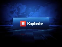 Kaplanlar