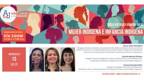 Mujer indígena e infancia indígena / Nancy Yañez Fuenzalida, Daniela Abarzúa Órdenes y Pamela Alvarado Balfor / Derechos fundamentales, género