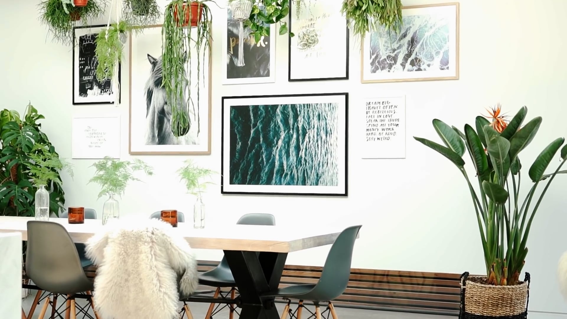 Home Tour - House of Curious