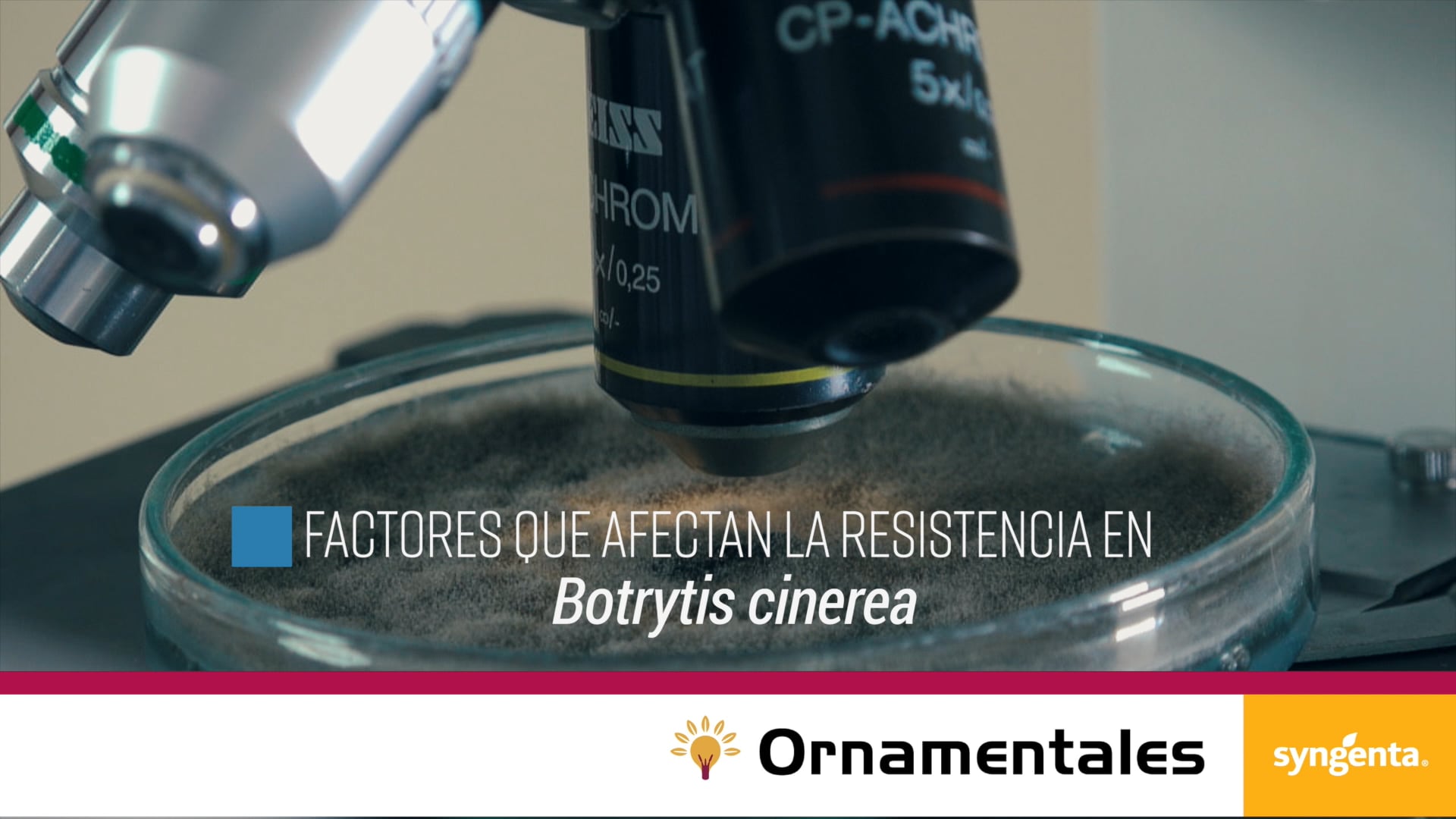 03 FACTORES QUE AFECTAN LA RESISTENCIA EN BOTRYTIS CINEREA