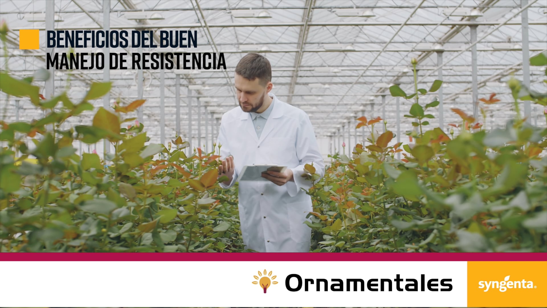 07 BENEFICIOS DEL BUEN MANEJO DE RESISTENCIA