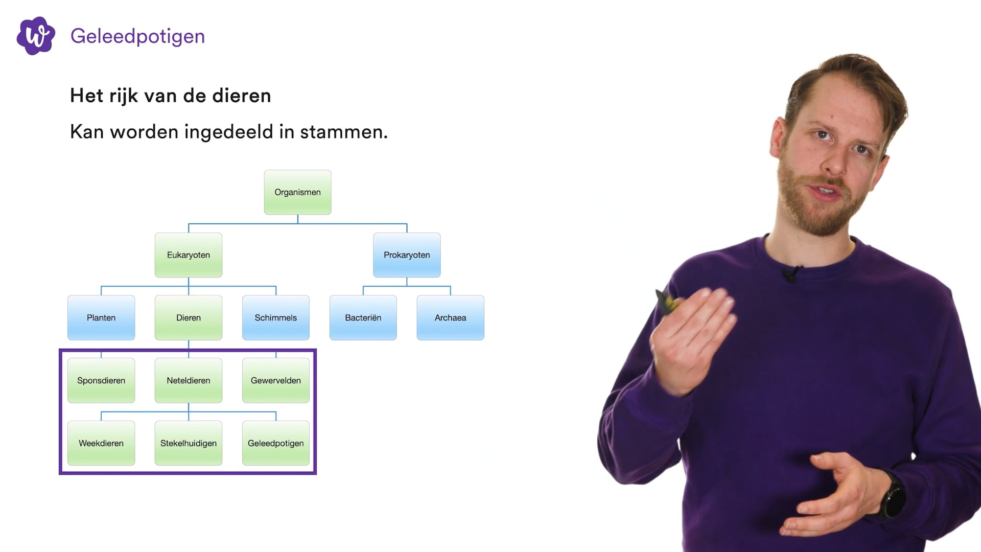 Oefen Met Ordening Uit Biologie Voor Jou / Bvj – 1 Havo/vwo – 8 | StudyGo