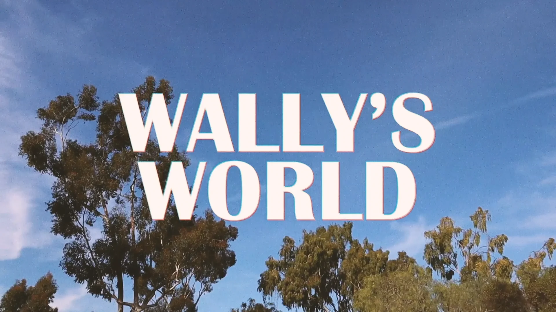 PHOTOS: Wally's World